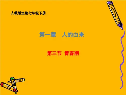 人教版生物七年级下册 第四单元第一章 第3节 青春期 课件
