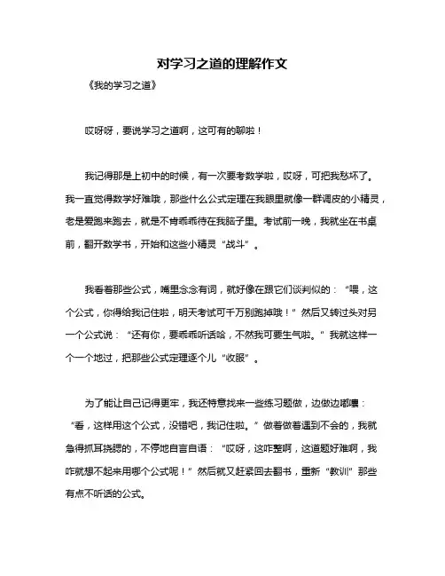 对学习之道的理解作文