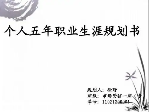 五年规划