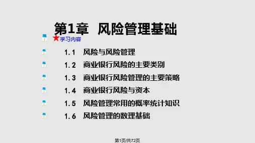 风险管理基础PPT课件