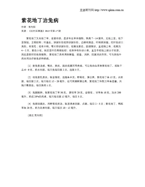 紫花地丁治兔病