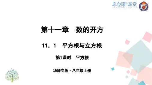 11.1 平方根与立方根 第1课时 平方根  【八年级上册数学(华东师大版)】