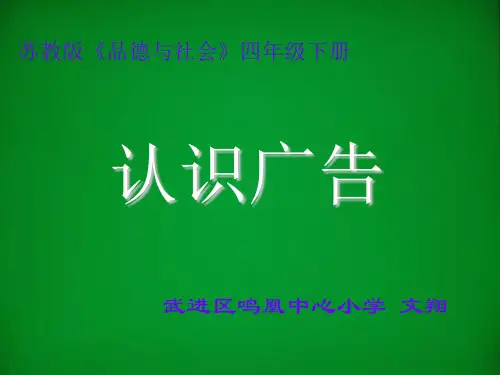 广告语言文字管理暂行规定-武进区鸣凰中心小学