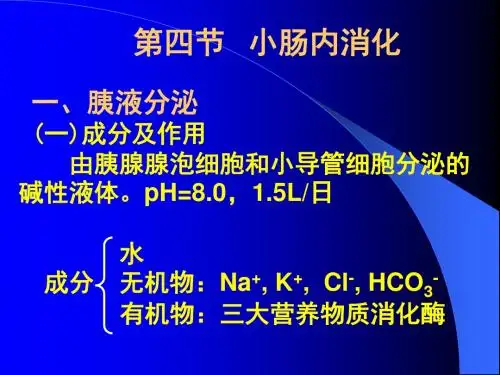 小肠内消化