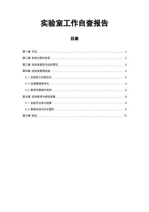 实验室工作自查报告