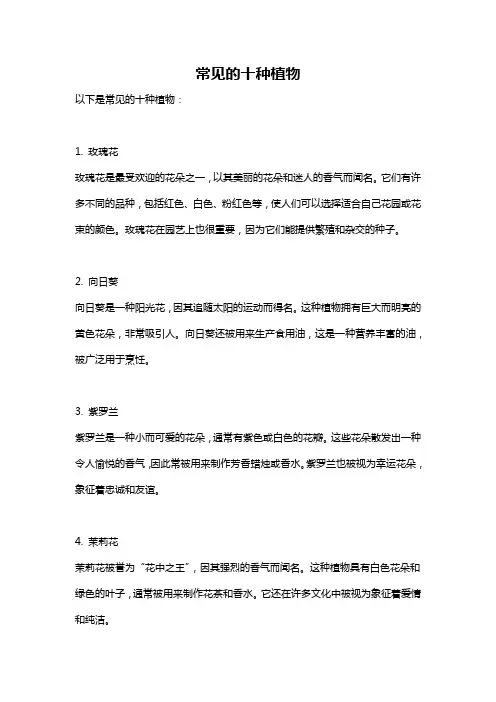 常见的十种植物