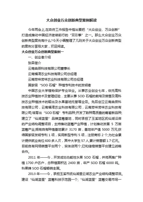大众创业万众创新典型案例解读