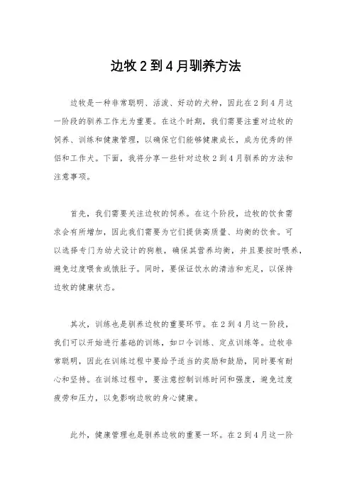 边牧2到4月驯养方法