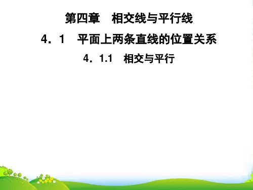 七年级数学下第4章《相交线与平行线》4.1平面上两条直线的位置关系4.1.1相交与平行习题湘教版