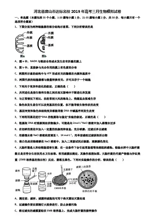 河北省唐山市达标名校2019年高考三月生物模拟试卷含解析
