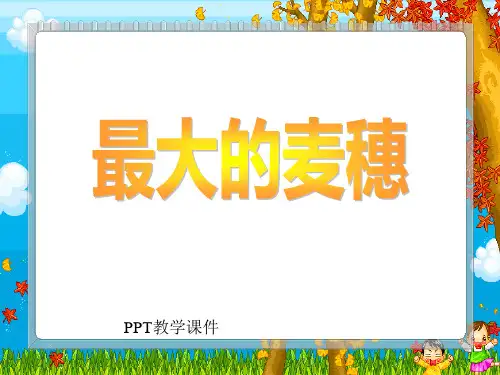 小学六年级下学期语文《最大的麦穗》精品课件