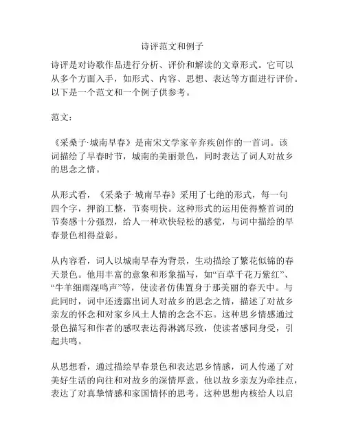 诗评范文和例子