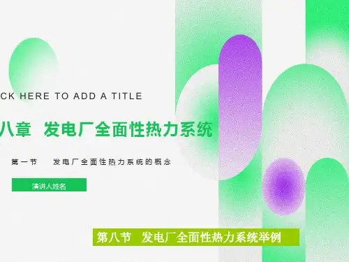 发电厂全面性热力系统