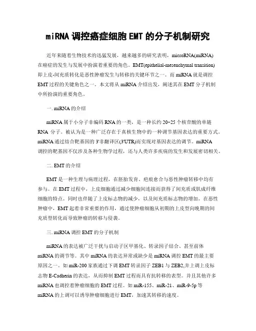 miRNA调控癌症细胞EMT的分子机制研究