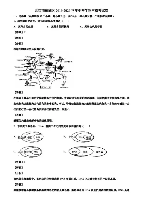 北京市东城区2019-2020学年中考生物三模考试卷含解析