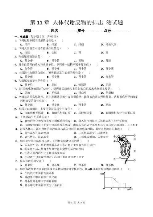 北师大版生物七年级下册 第11章 人体代谢废物的排出 测试题
