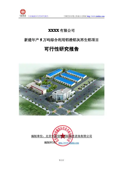 新建年产5万吨综合利用铝渣铝灰再生铝项目可行性研究报告