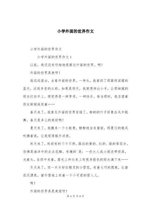 小学外面的世界作文