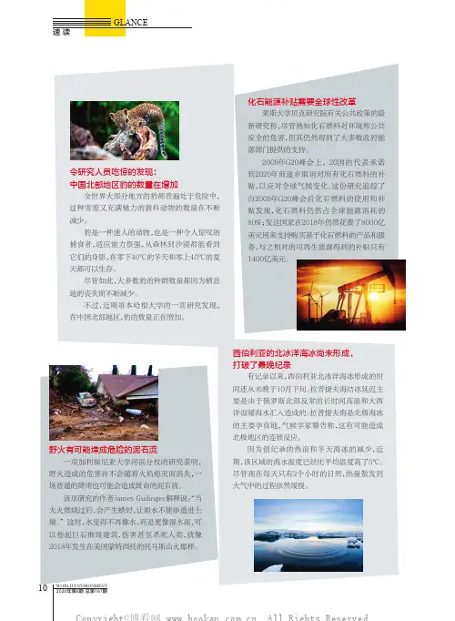 化石能源补贴需要全球性改革