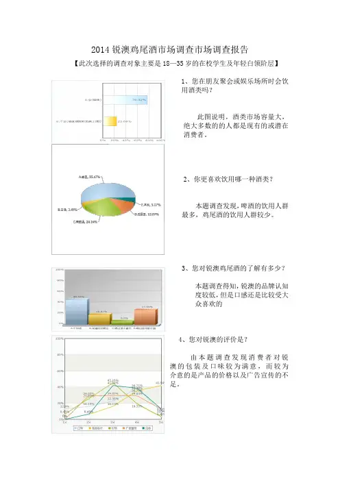 Rio市场研究报告