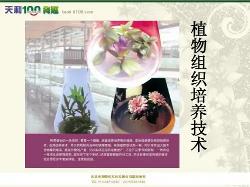 高三生物植物组织培养技术课件