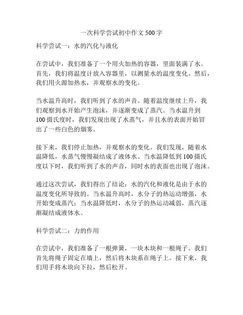 一次科学尝试初中作文500字
