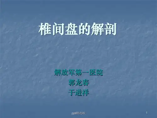 椎间盘的解剖腰椎间盘突出症的临床及影像学诊断ppt课件
