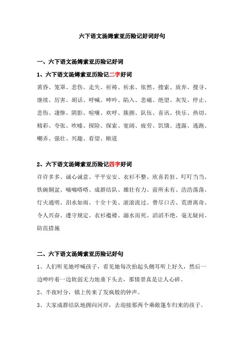 六下语文汤姆索亚历险记好词好句