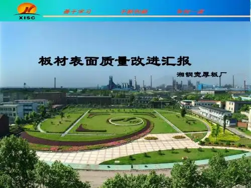 改进钢材表面质量技术交流会汇报材料