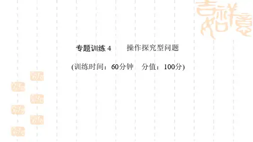 中考数学专题训练4 操作探究型问题