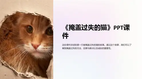 《掩盖过失的猫》课件