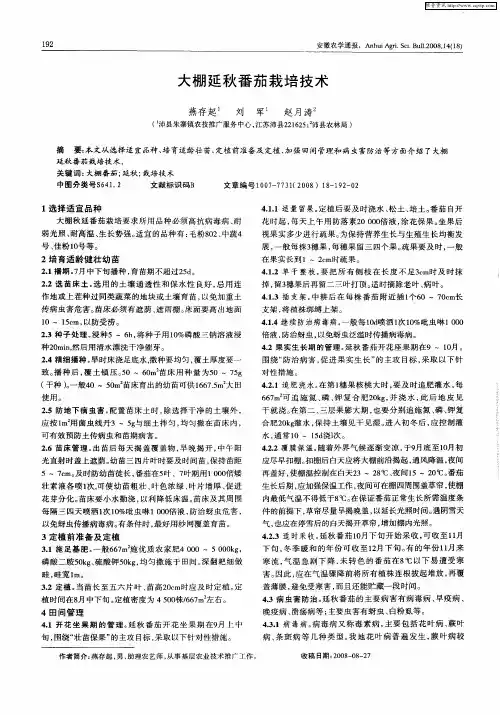 大棚延秋番茄栽培技术