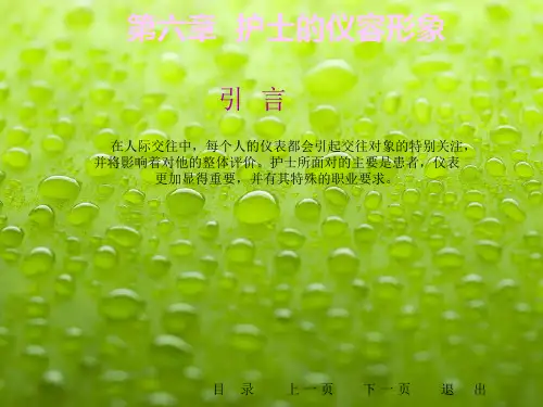 护士的仪容形象ppt课件