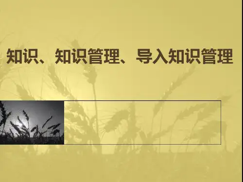 知识管理课件-知识管理概念