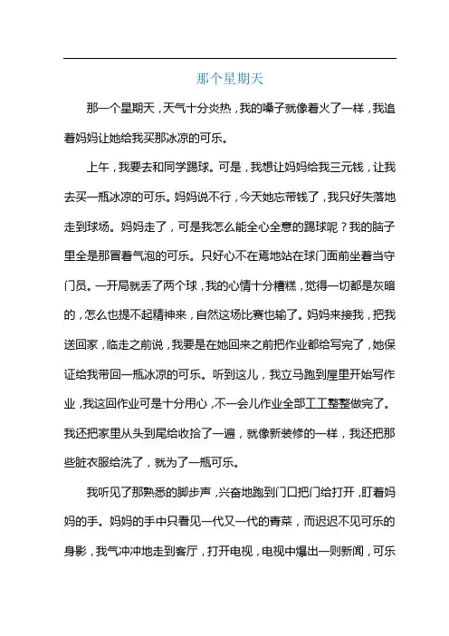 那个星期天作文500字初一