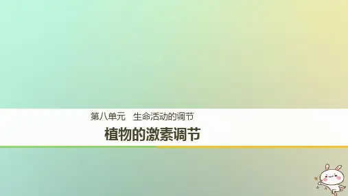 植物的激素调节(一轮复习)用