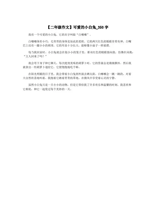 【二年级作文】可爱的小白兔_350字