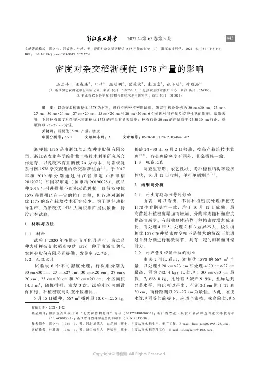 密度对杂交稻浙粳优1578_产量的影响