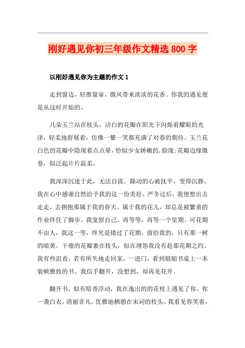 刚好遇见你初三年级作文精选800字