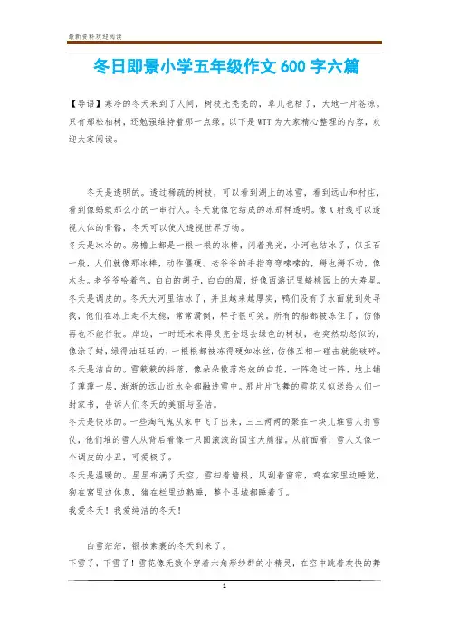 冬日即景小学五年级作文600字六篇