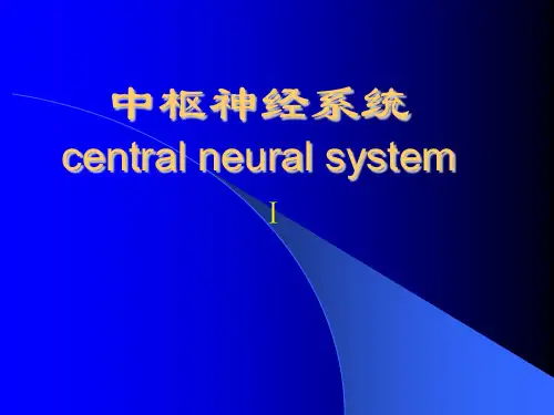 中枢神经系统影像检查方法-总论