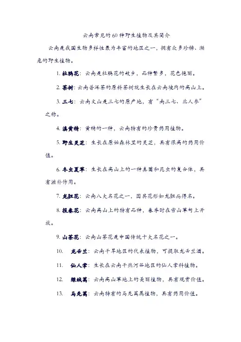 云南常见的野生生植物介绍