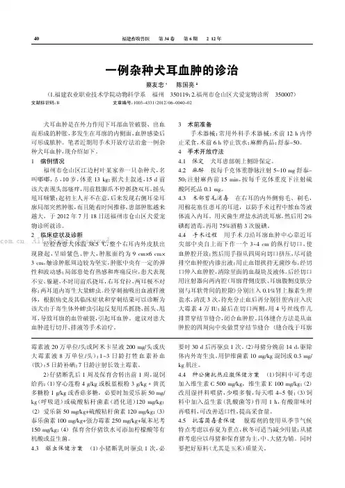 一例杂种犬耳血肿的诊治