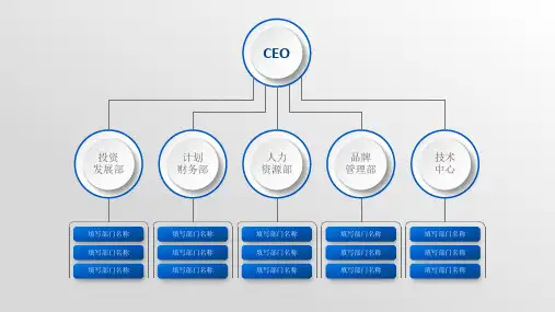 公司组织架构图模板(完整版)可编辑 (31)
