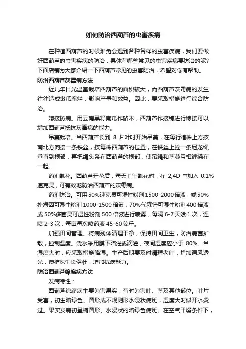 如何防治西葫芦的虫害疾病
