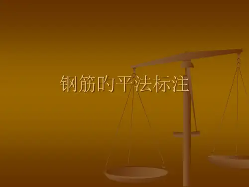 梁柱钢筋平法标注