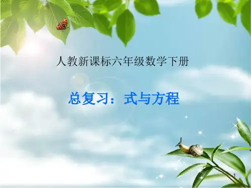 新课标人教版六年级数学下册《总复习-式与方程》市公开课获奖课件省名师示范课获奖课件