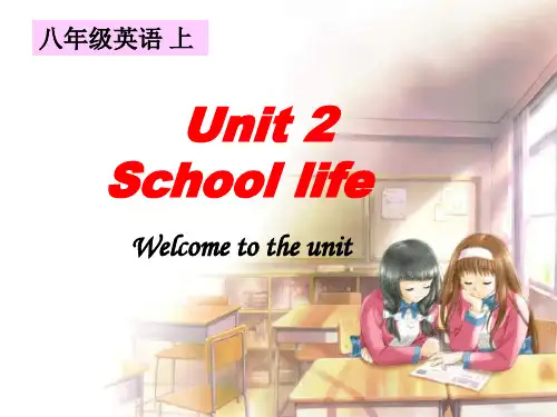 牛津译林版8A unit2  welcome (共19张PPT)
