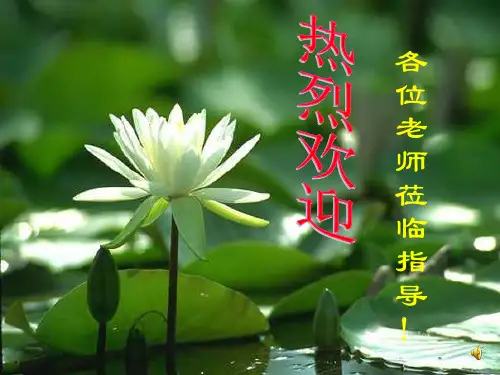 初中作文指导：考场作文“点”出彩ppt