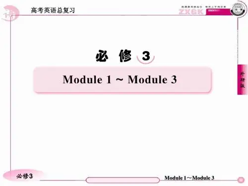 高考英语总复习精品课件：Unit2 Developing and Developed Countries(外研版必修3)